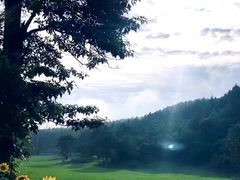 -武陵山森林公园