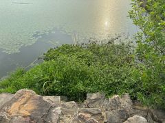 -南京市无想山景区