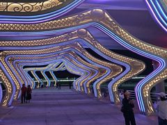 -演武大桥观景平台