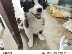 -联合动物医院(光谷诊疗中心)
