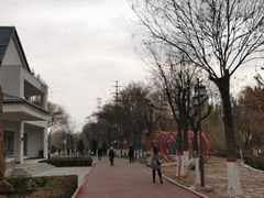 -雁滩公园