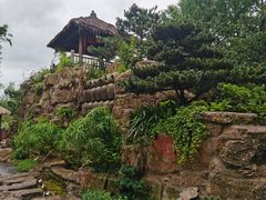 -东平国家森林公园
