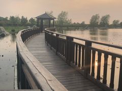 -羊亭河湿地公园