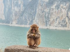 -白帝城·瞿塘峡景区
