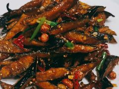 -煎饼卷大葱·非遗传承·潍坊菜(十笏园店)