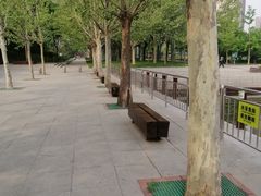 -大望京公园