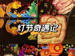 -淄博花灯齐彩城