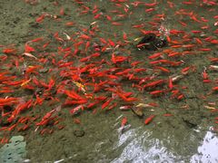 -竹泉村旅游度假区
