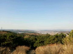 -高尔山公园