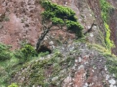 -七仙岭温泉国家森林公园