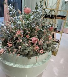 -好看加白色房子
