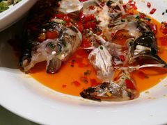 -浙商开元名都酒店·蓝色多瑙河自助餐厅