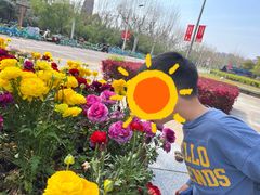 -同济大学(嘉定校区)