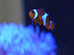 -Rabbit Cafe私房西餐甜点咖啡(栖霞路店)