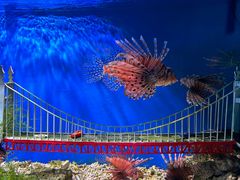 -太平洋海底世界