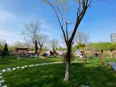 -Supine Bistro溯泮餐厅