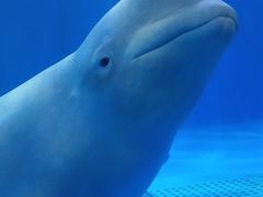 -多彩贵州城极地海洋世界