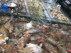 -87号烧烤海鲜·大排档(金沙滩店)