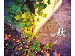 iphone_upload_pic-喜洲吧·江畔老船厂·庭院餐厅(喜临院店)