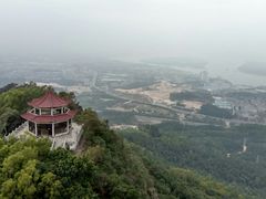 塔上看陆佑亭-大雁山风景区