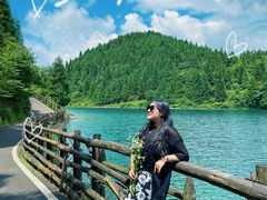 -武陵山森林公园