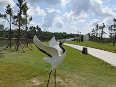 -盐城丹顶鹤湿地生态旅游区