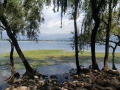 景点-西昌邛海湿地