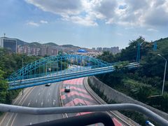 -富斯特索道