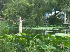 -北陵公园