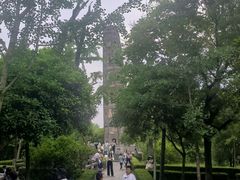 -上海佘山国家森林公园天马山园