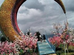 -丽江植物园