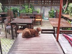 景观位-Dash Teak House