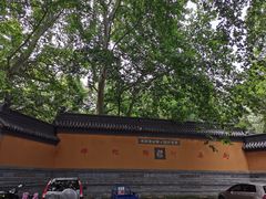 -灵谷景区