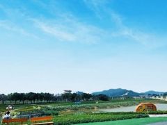 -光明小镇欢乐田园