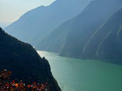 -去茶山(重庆万象城店)