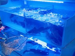 -韩妹鱼庄·泸定老字号(泸定店)