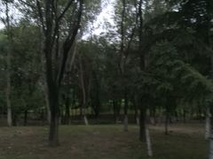 -莫子山公园