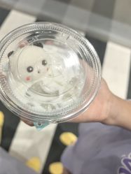 -超级奈尔宝SUPER NEOBIO(杭州星光店)