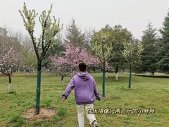 -西安外国语大学(长安校区)