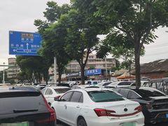 -方脑壳