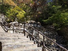 -北京上方山国家森林公园