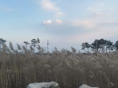 -青岛海泉湾度假区温泉