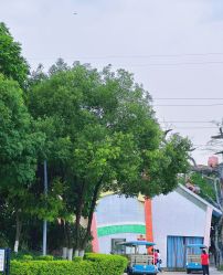 -番禺儿童公园