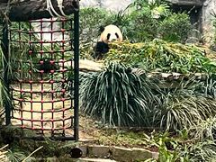 -石排湾郊野公园