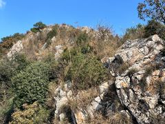 -午潮山国家森林公园