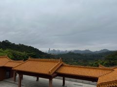 -深圳仙湖植物园