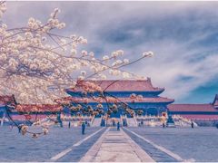 -故宫博物院(故宫)
