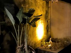 -艺术食堂(创意料理)