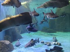 -多彩贵州城极地海洋世界