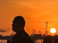 -宝安西湾红树林湿地公园